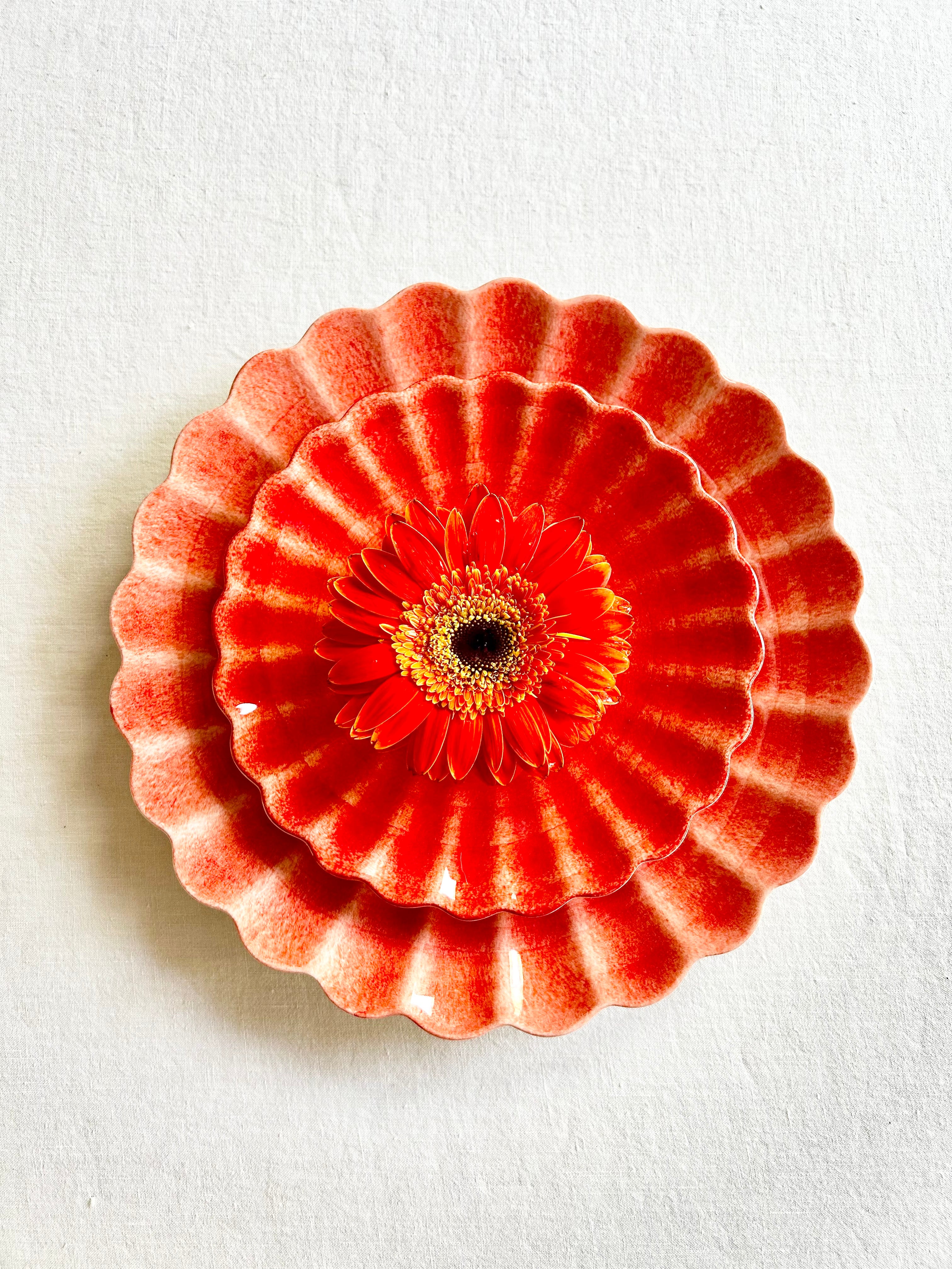 Oyster Dinnerware - Tangerine - S/4