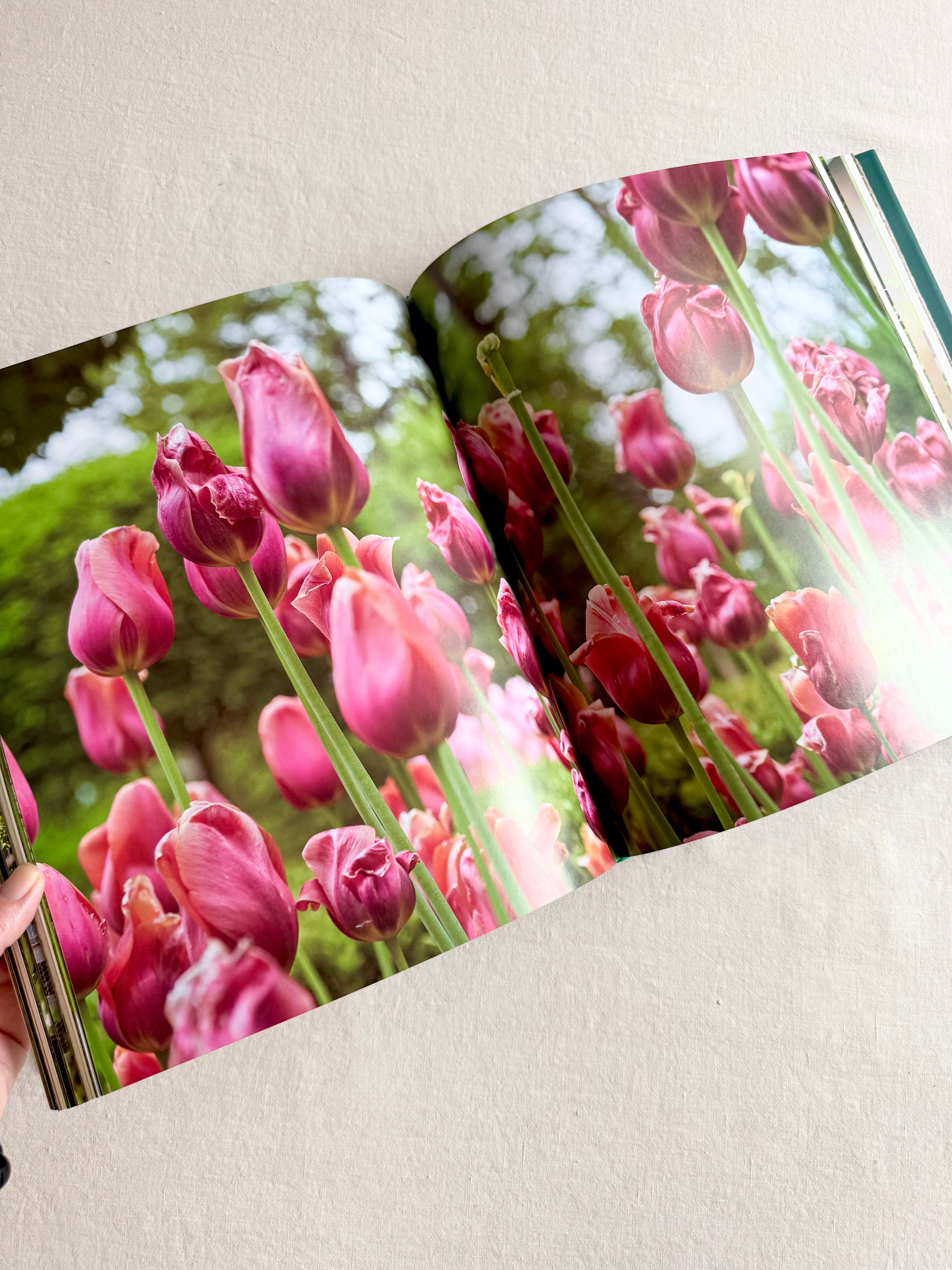 Bunny Williams: Life Garden- Art Book
