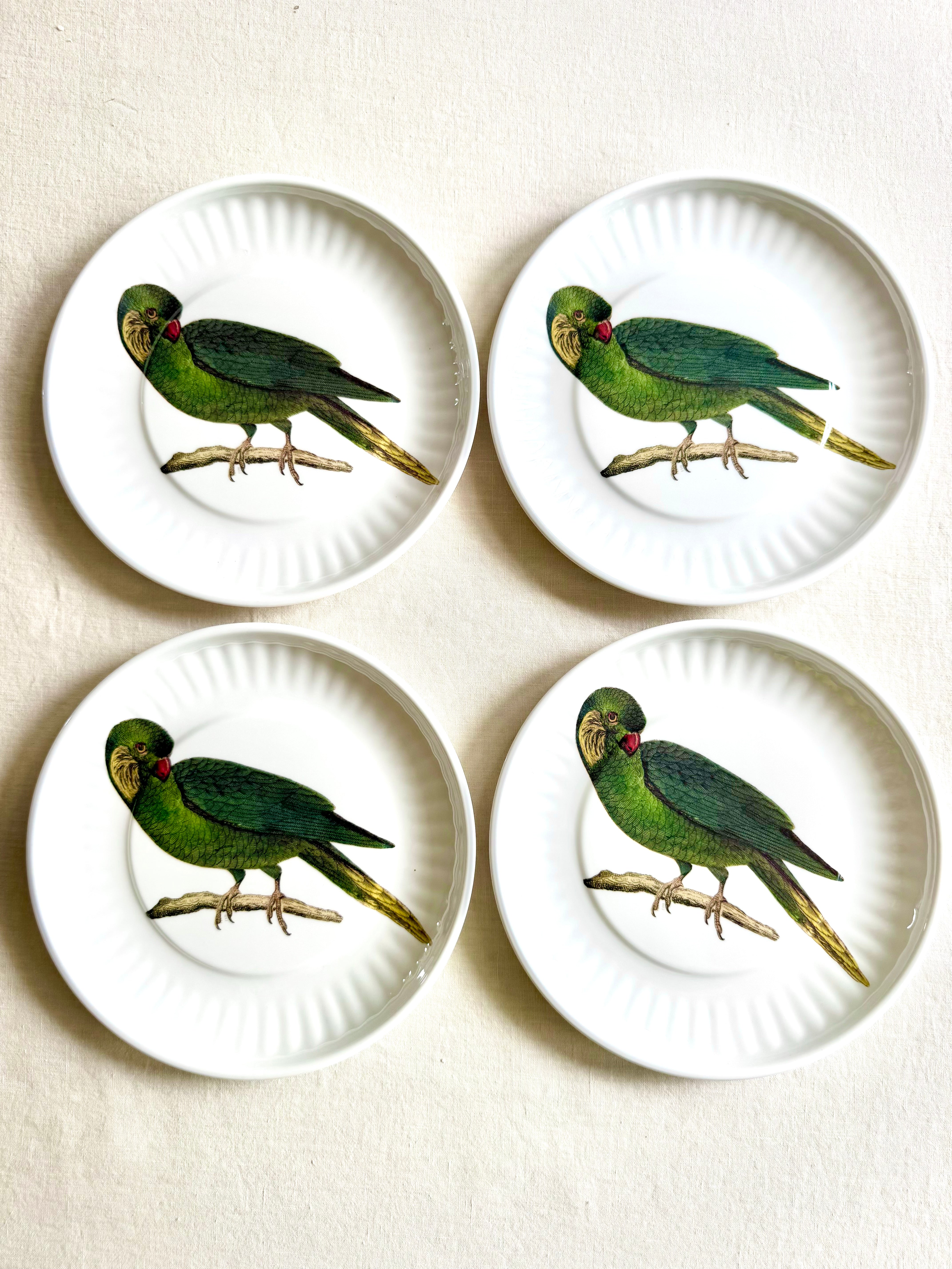 Parrot Melamine Dinner Plates -  S/4