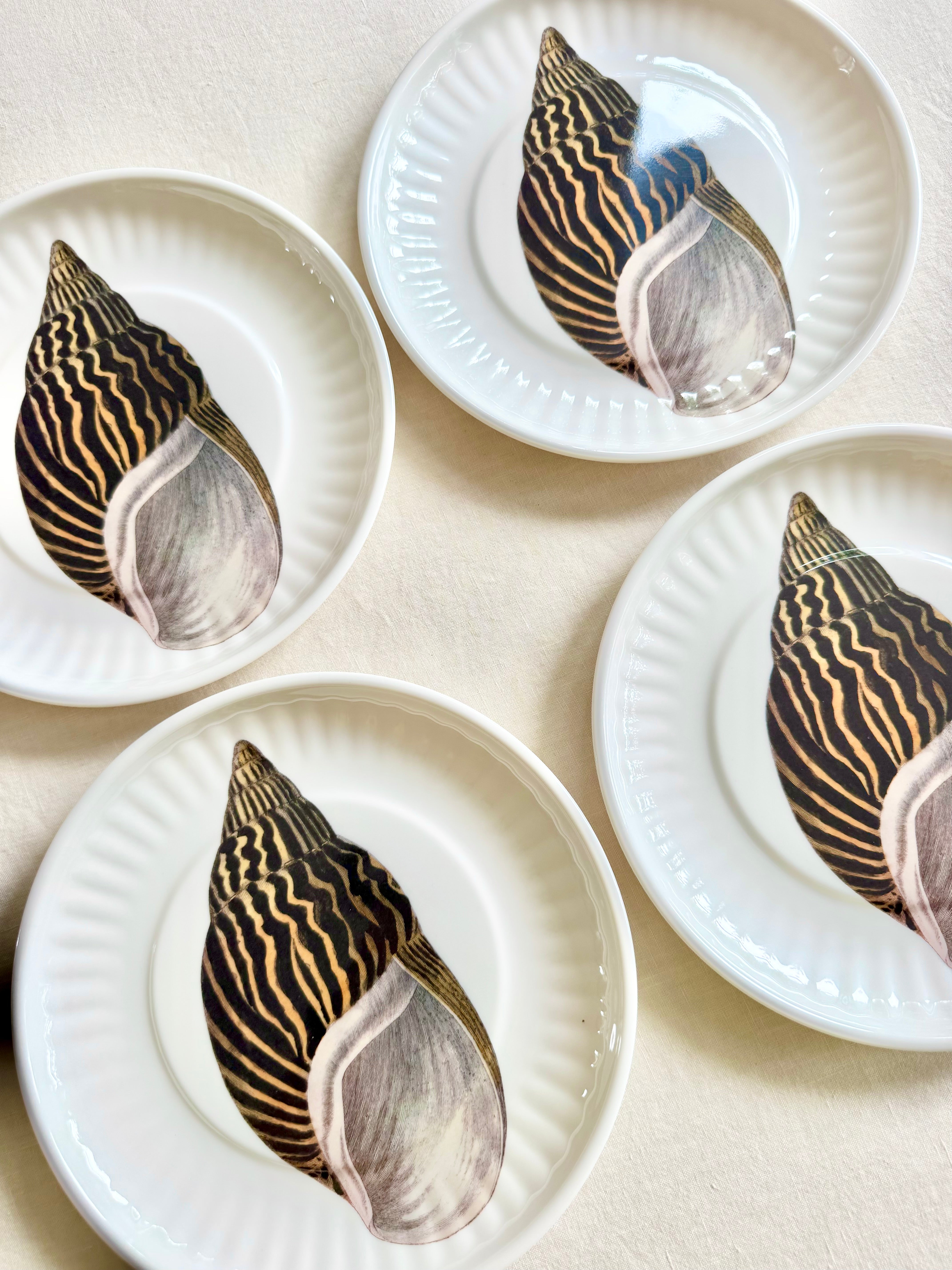 Conch Melamine Dinner  Plates -   S/4