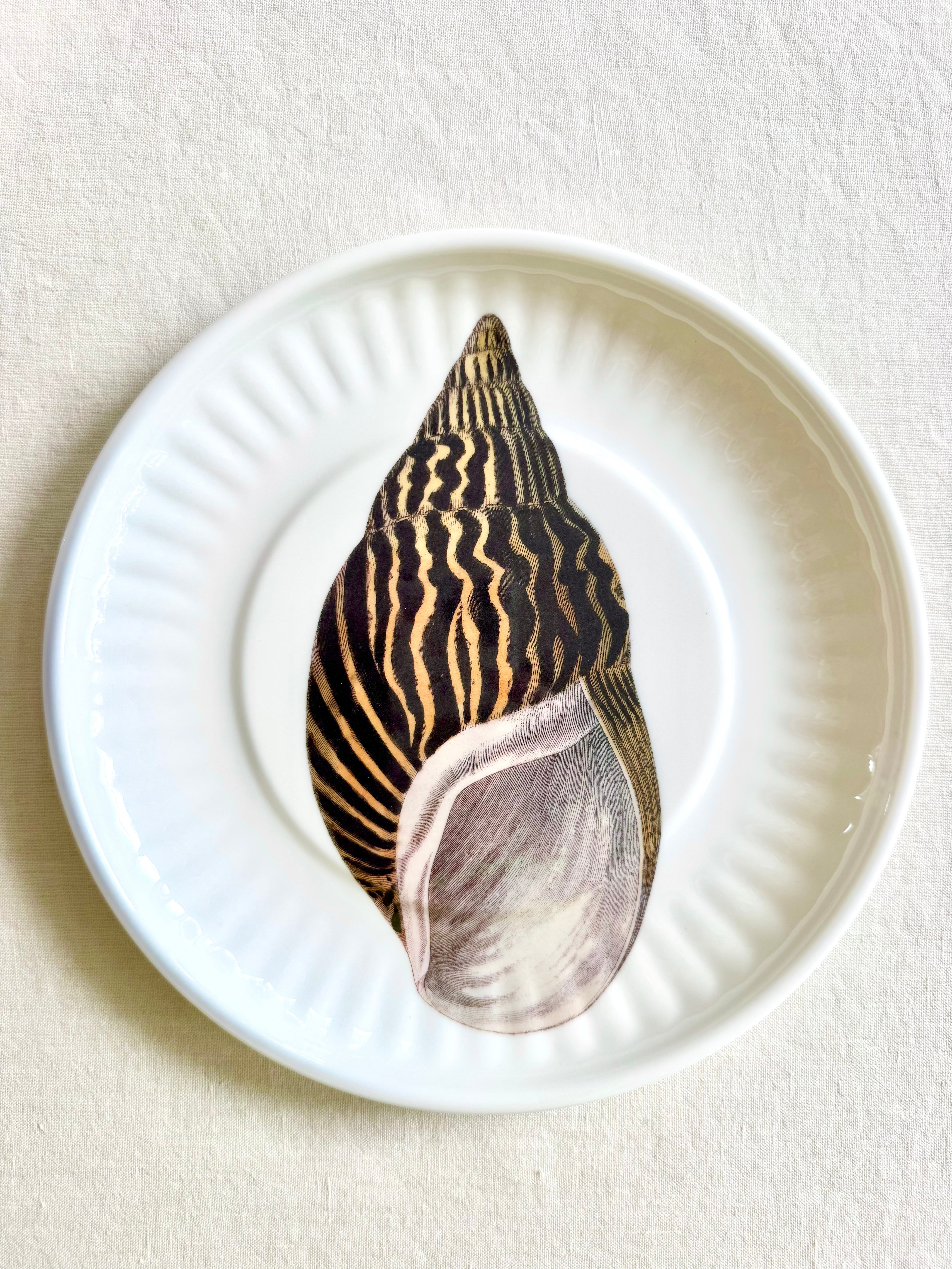 Conch Melamine Dinner  Plates -   S/4