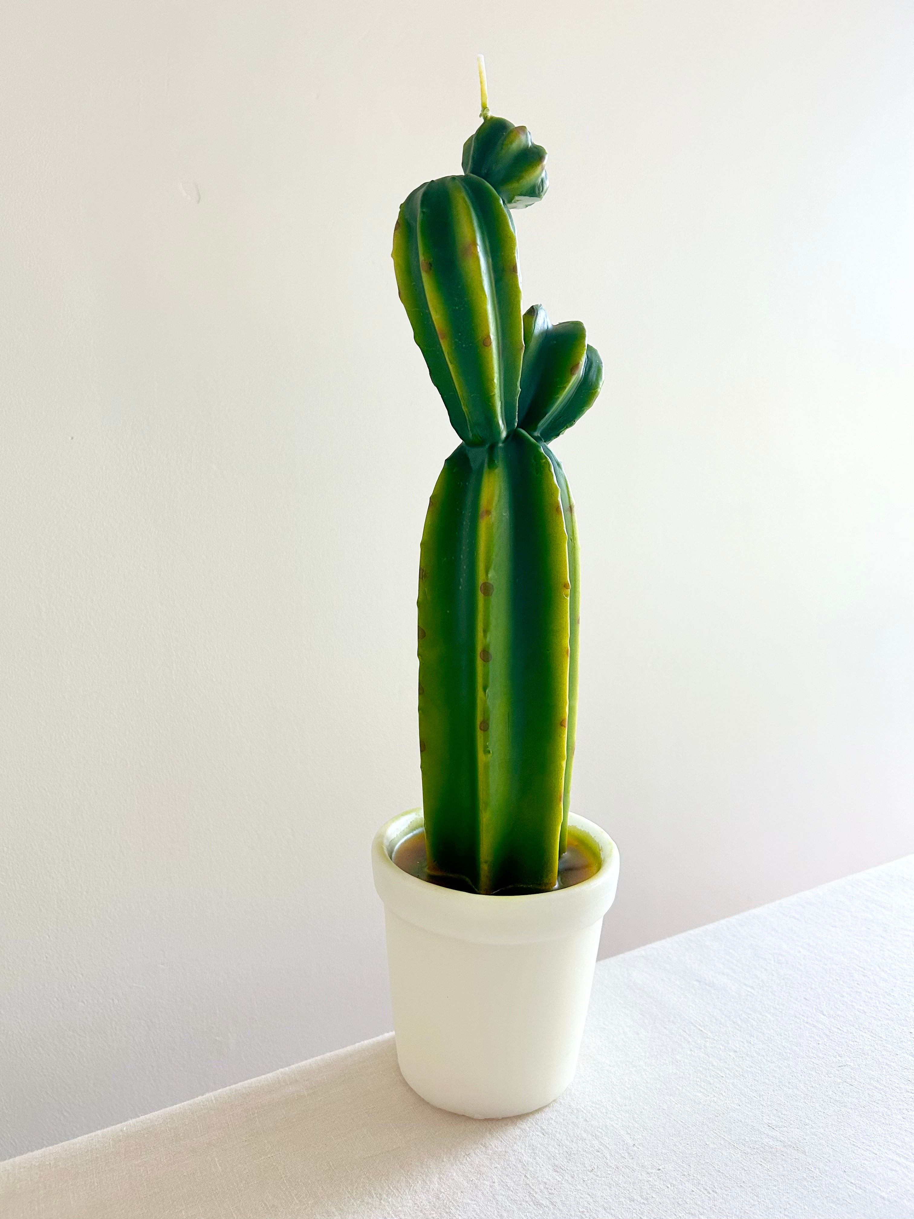 Potted Cactus Candle