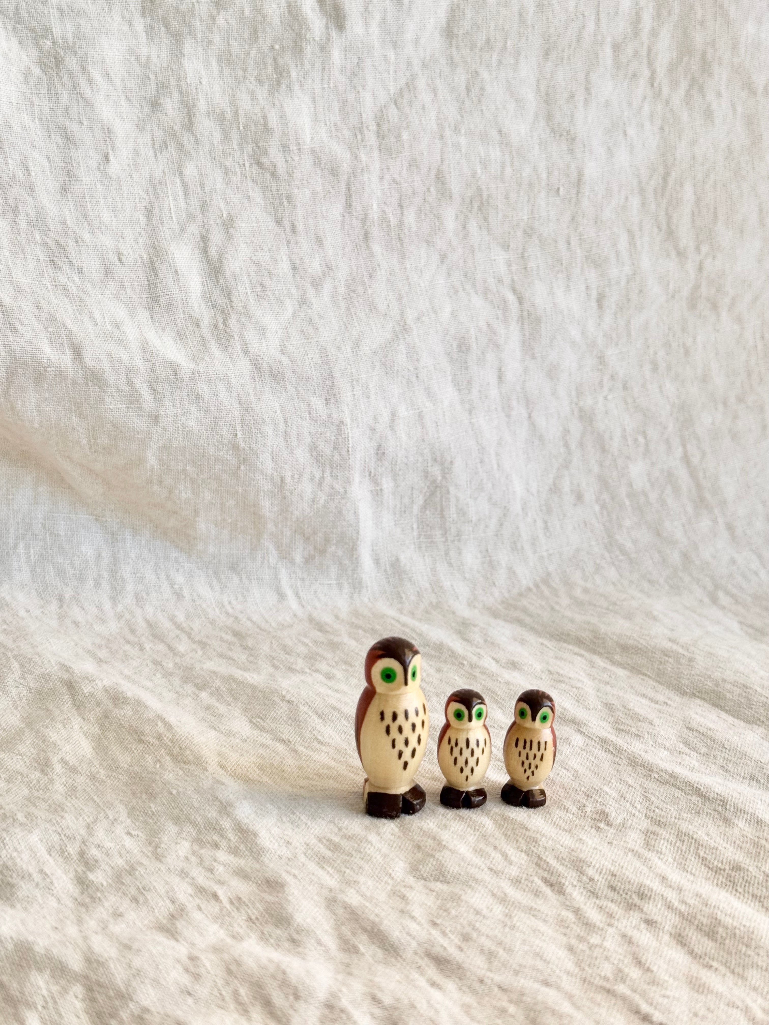 Mini Owl Family- S/3