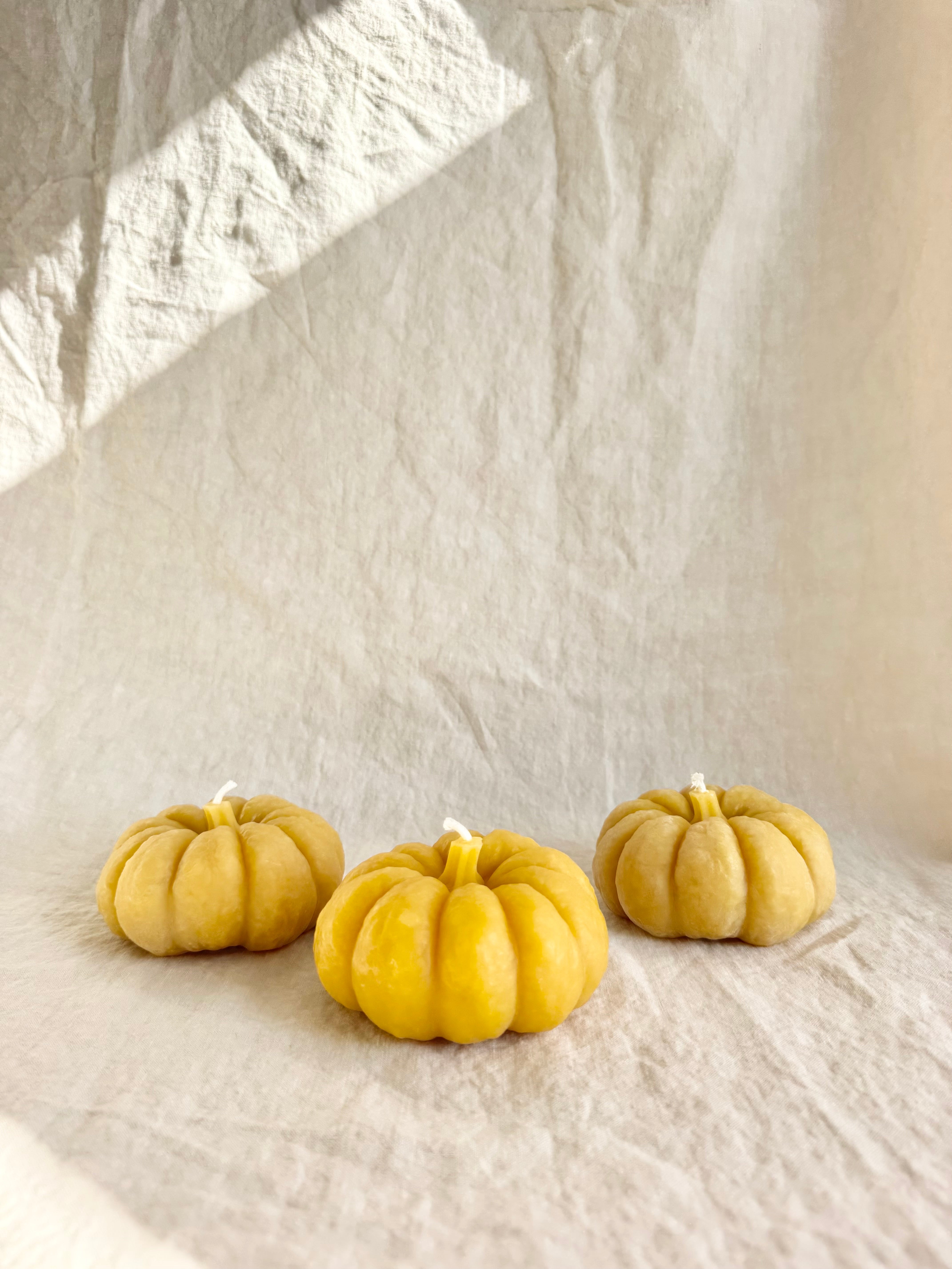 Pumpkin Beeswax Candle