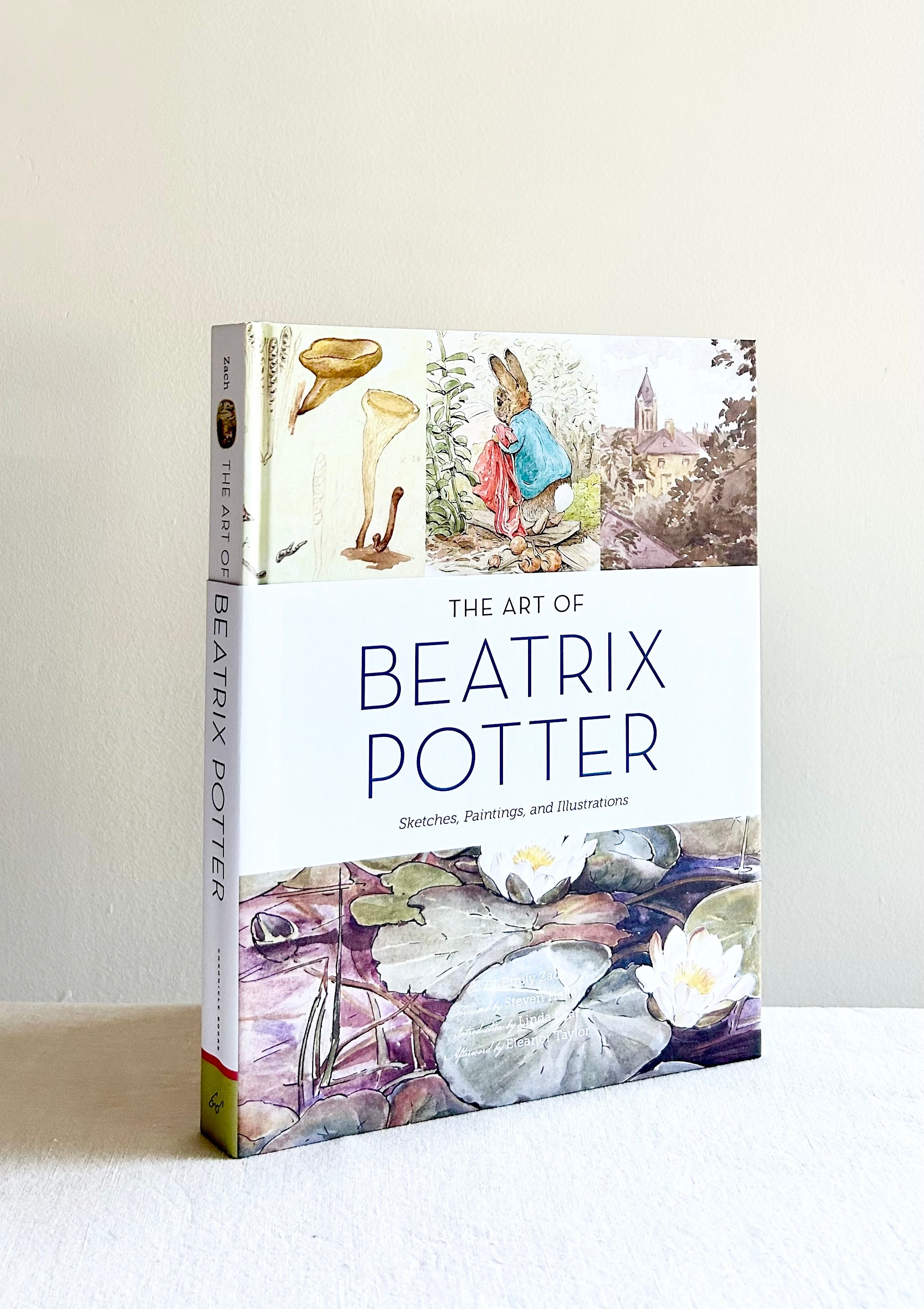 The Art of Beatrix Potter