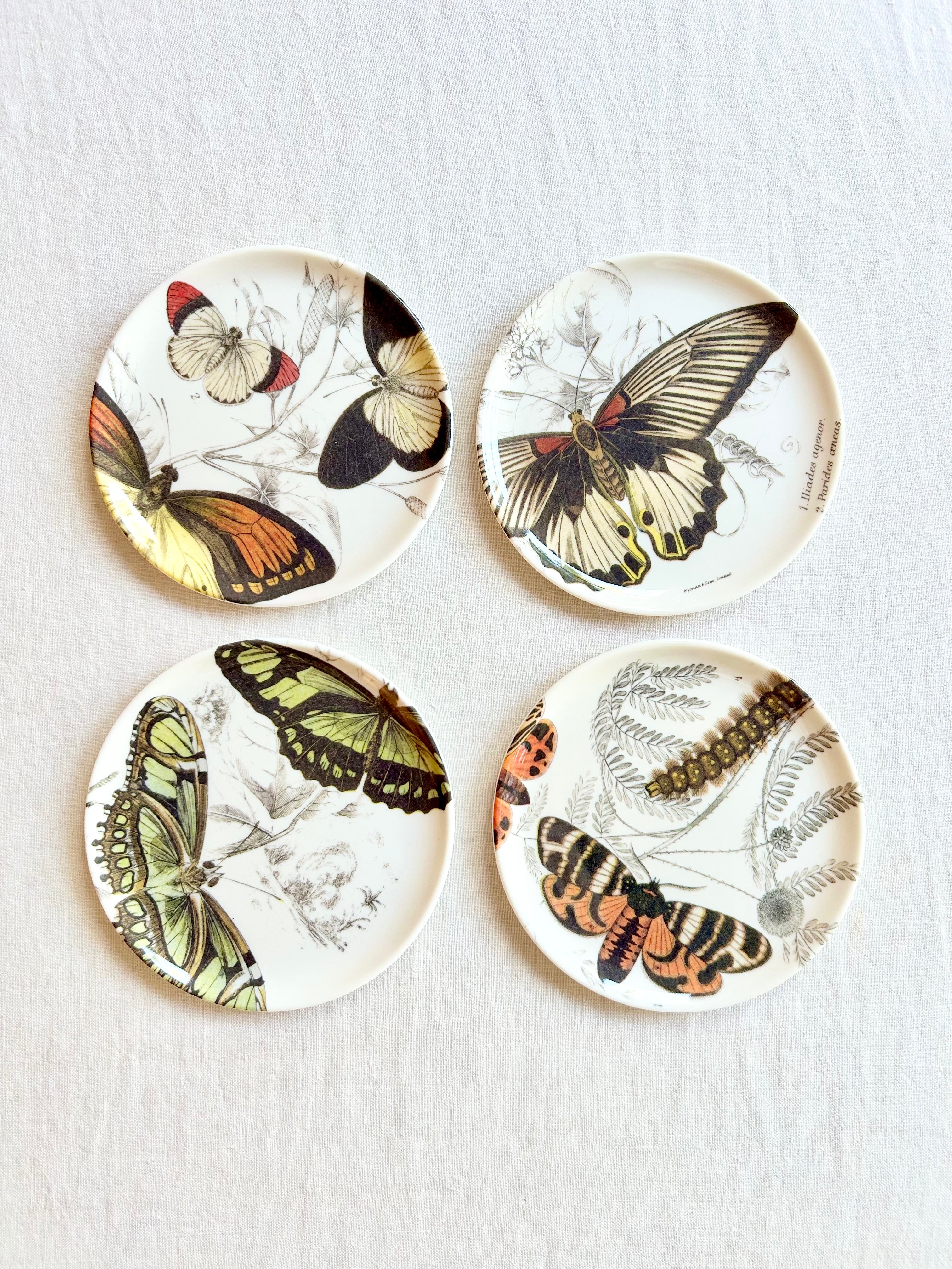 Butterfly Coasters  S/4