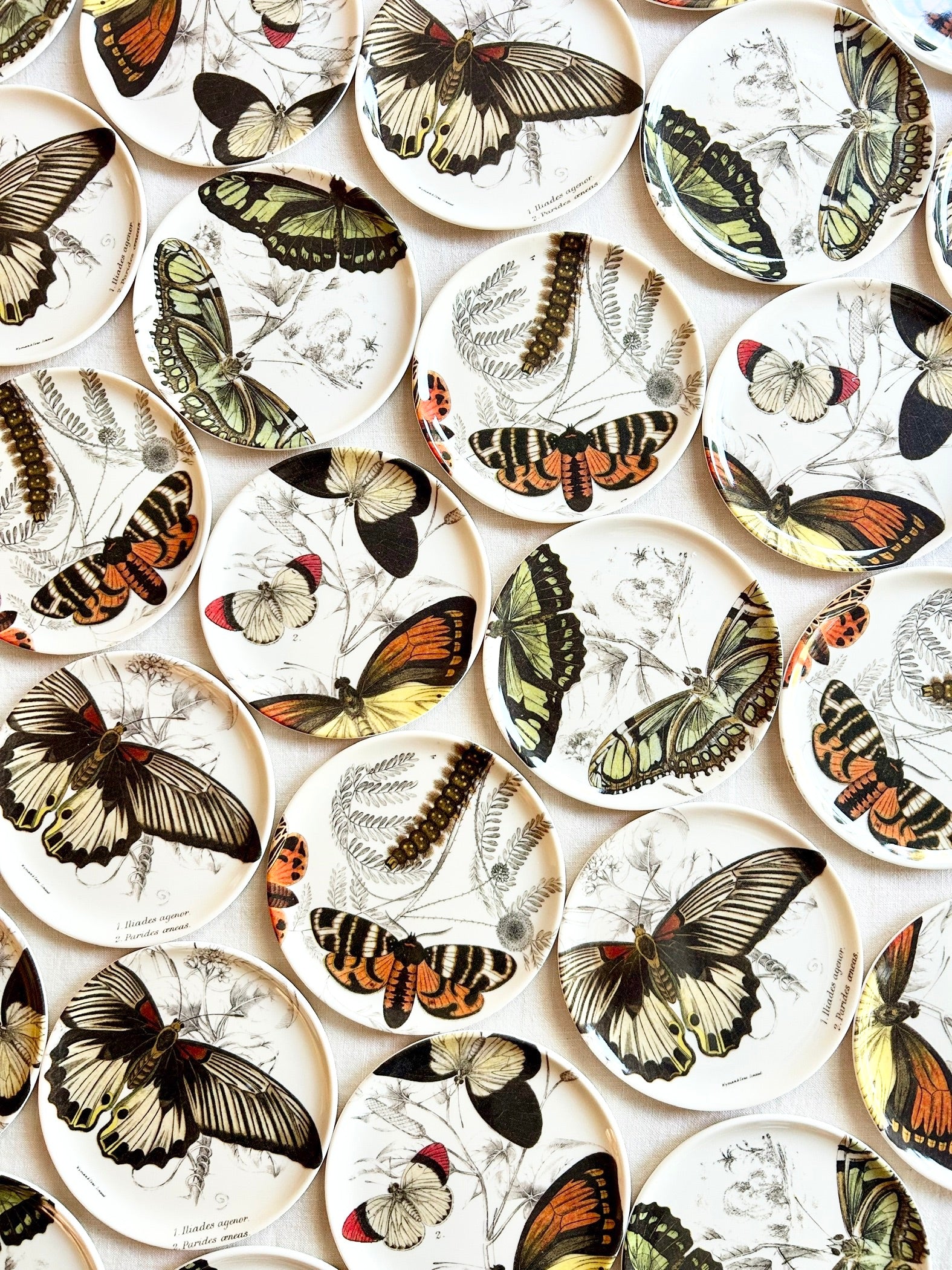 Butterfly Coasters  S/4