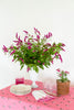 rectangular pink tablecloth with white daisies in room