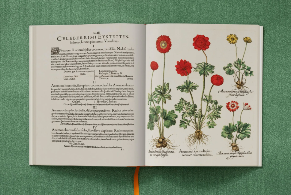 The Garden at Eichstätt Art Book