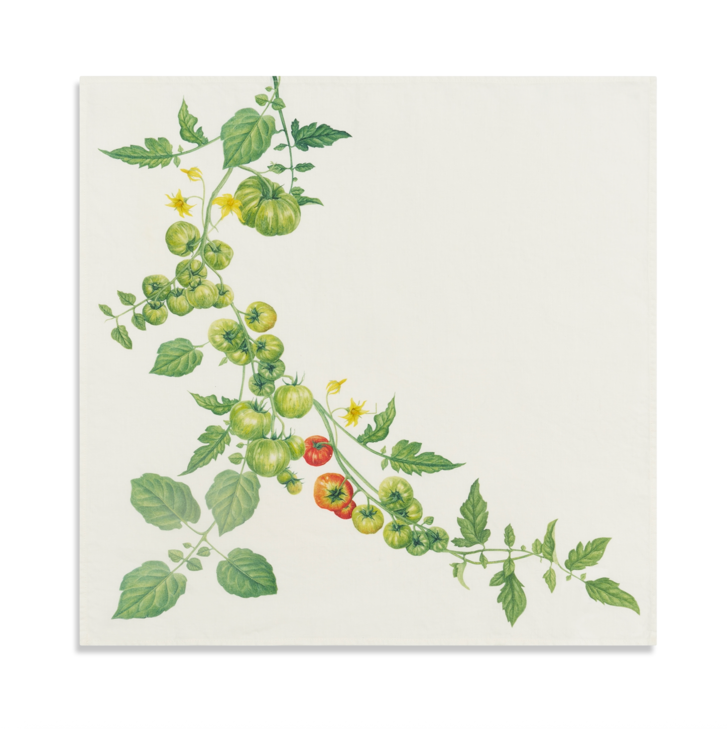 Tomato Vert  Tablecloth - 3 sizes available
