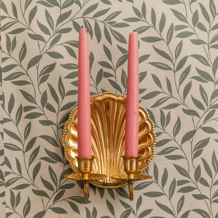 Scallop Shell Sconce Double - Brass