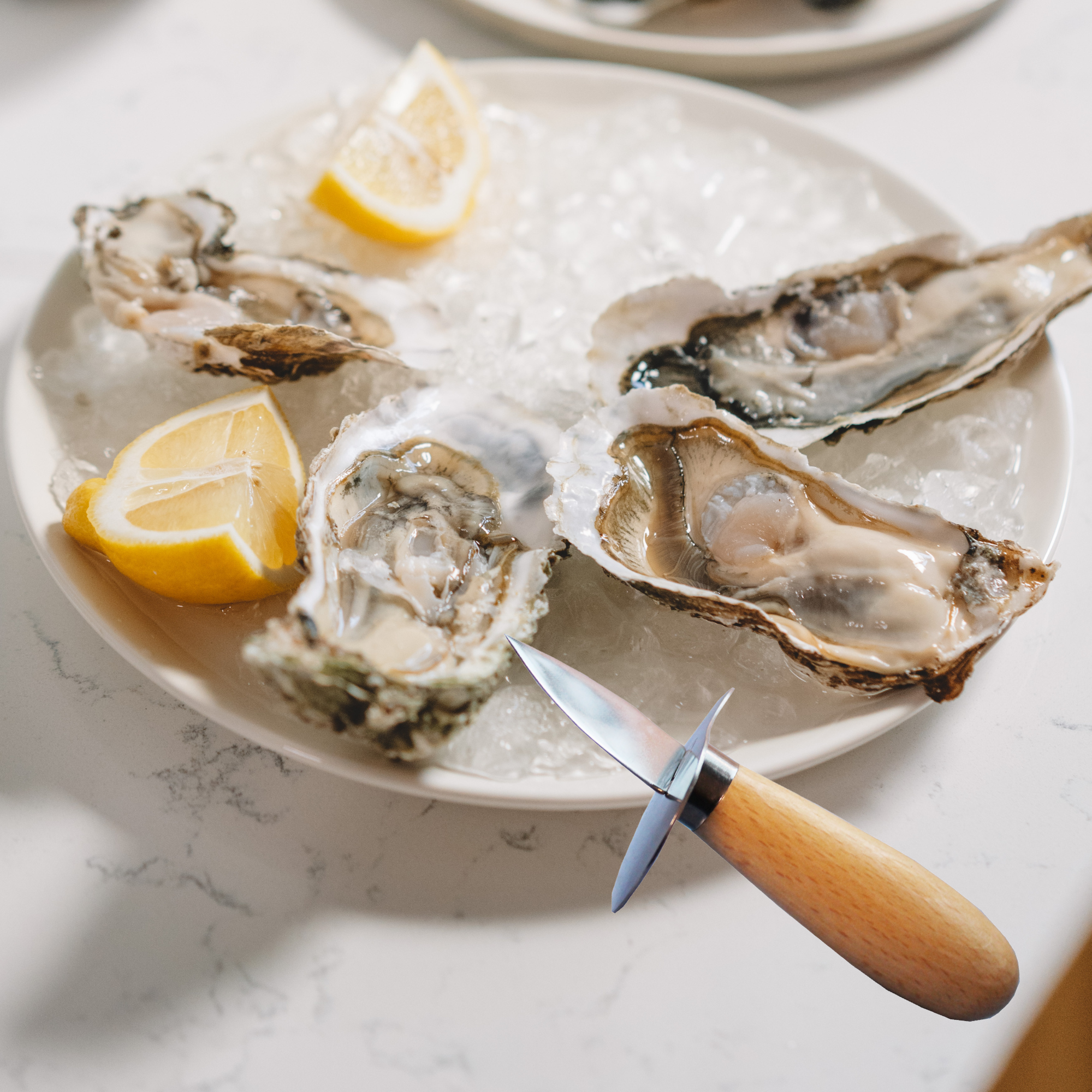 French Oyster Knife