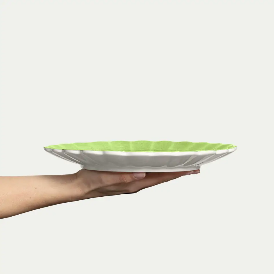 PRE-ORDER - Oyster Dinnerware - Spring Green S/4
