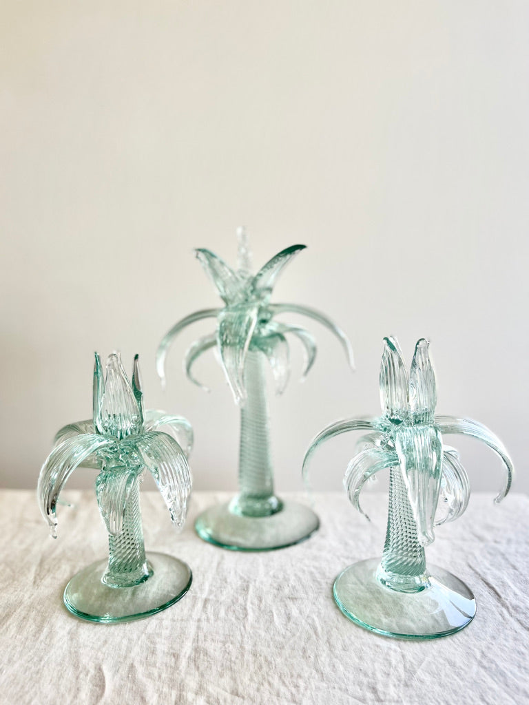 Palmera de Elche Decor - Clear