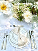 sabre stainless steel flatware set with white resin handle table setting detail