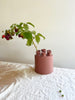 terra cotta ceramic tulipiere with flower