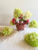 brown ceramic footed tulipiere 6 inches tall with hydrangeas