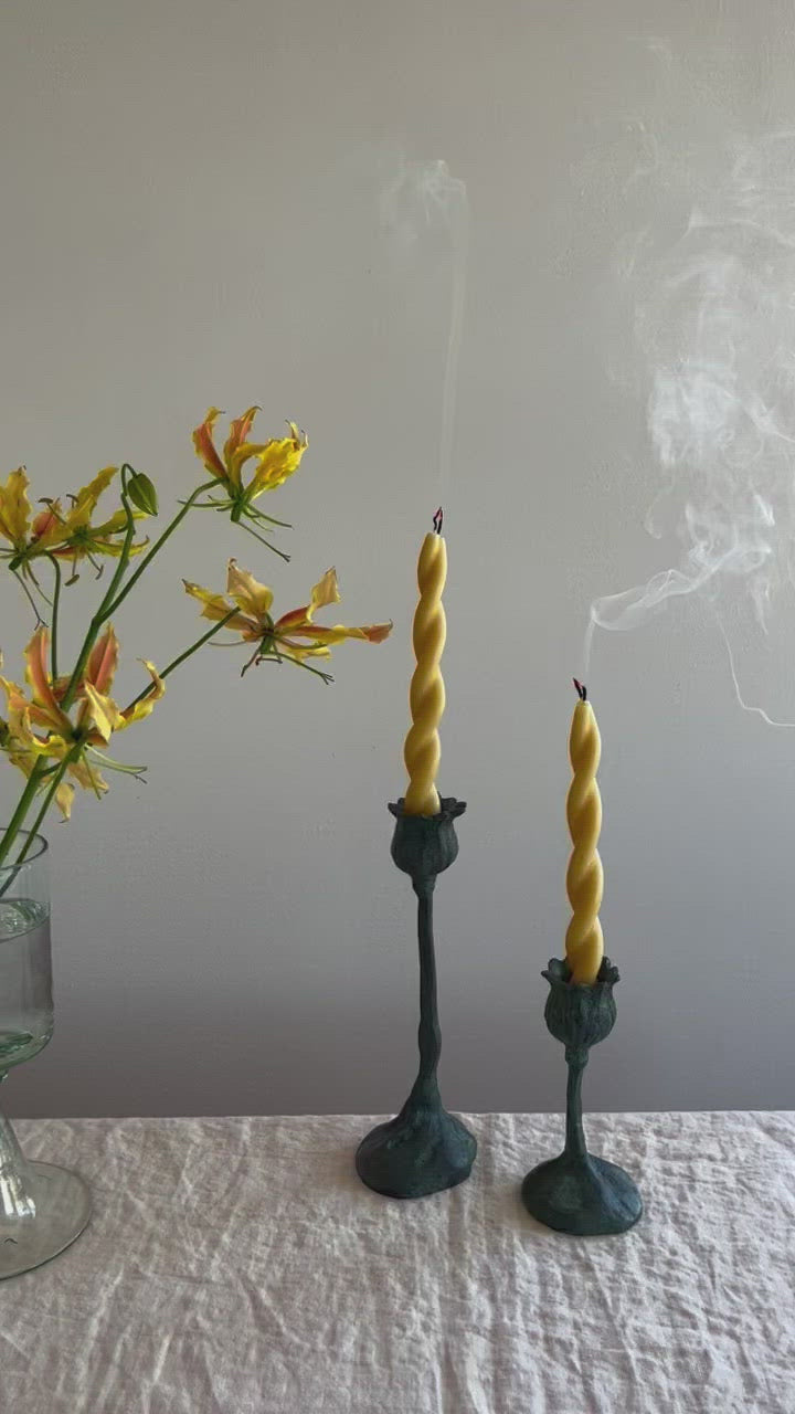 poppy pods taper candle holder 5.5 inch video