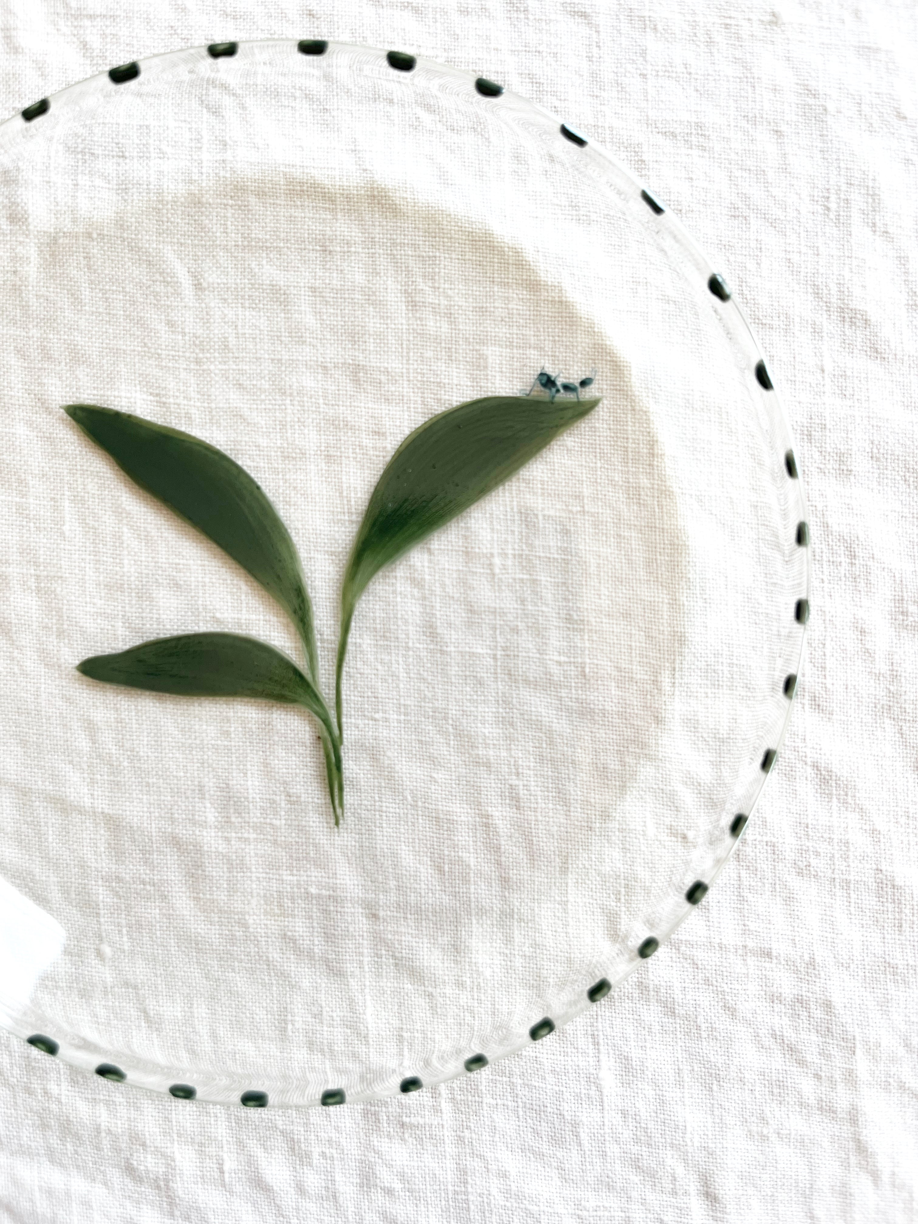 clear glass bread plate with hand painted green leaf with small ant detail view of ant