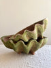clam shell terra cotta planter with moss