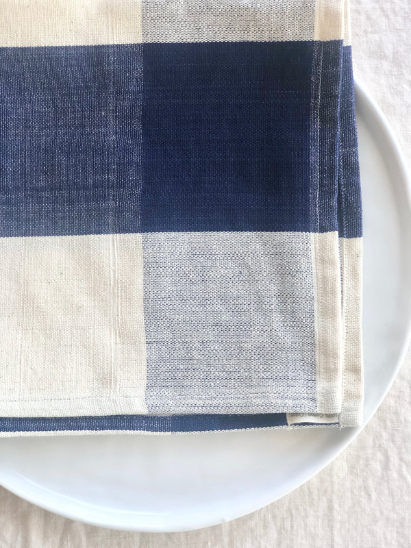 checkered blue and white napkins 19" square