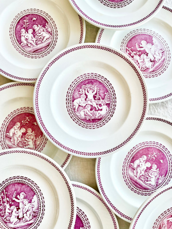 wedgwood cipriani dinner plate with pink and white cherub design in center