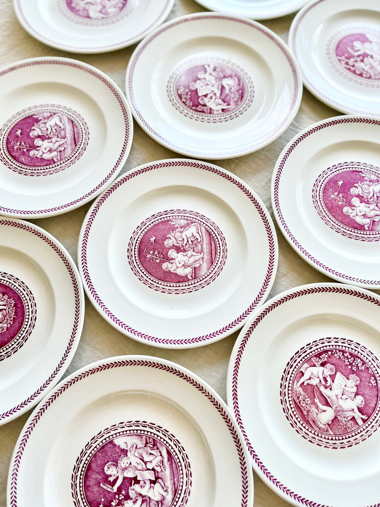 wedgwood cipriani dinner plate with pink and white cherub design in center in group