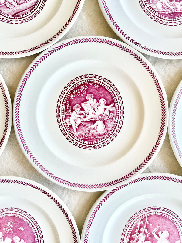 wedgwood cipriani dinner plate with pink and white cherub design in center detail view