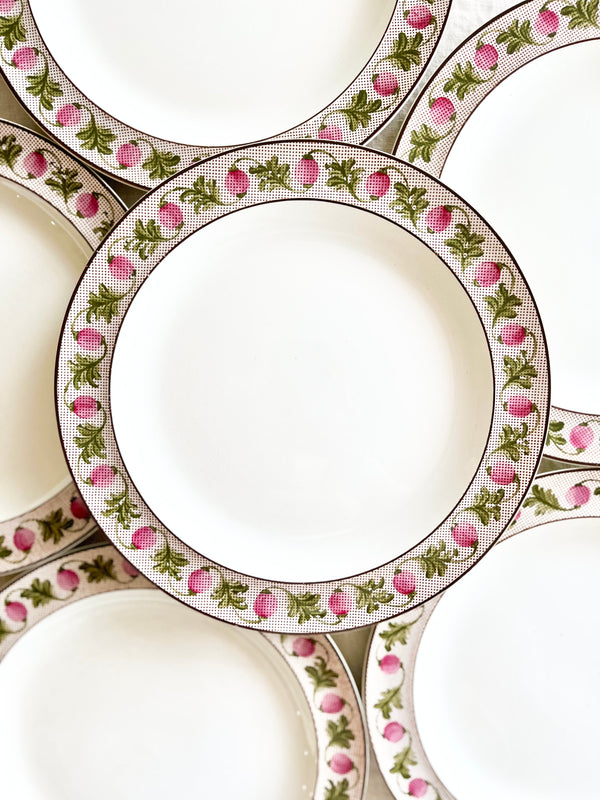 wedgwood berry dinner plate with pink and green rim in group