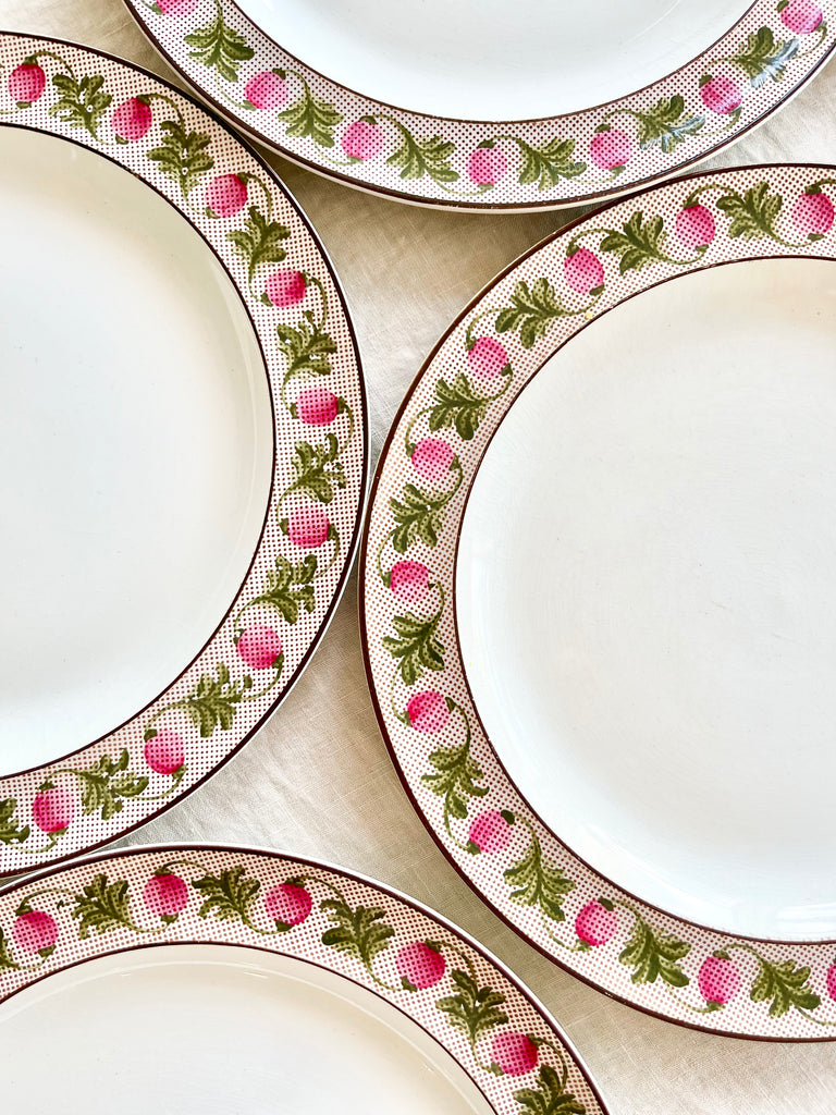 wedgwood berry dinner plate with pink and green rim in group of four