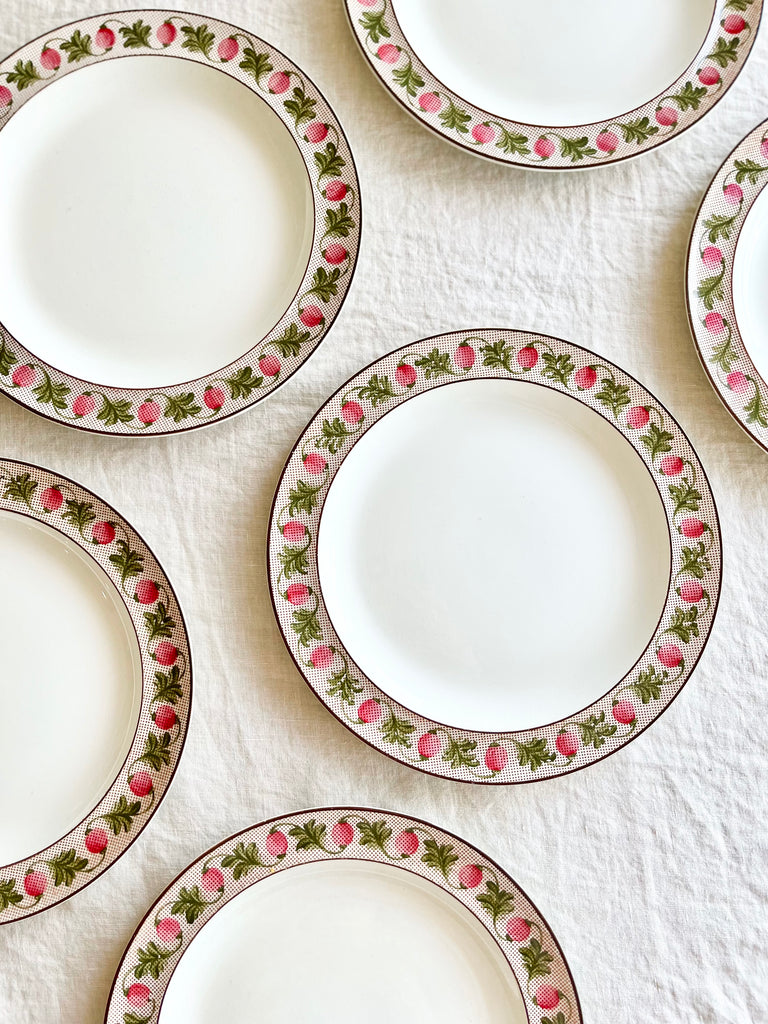 wedgwood berry dinner plate with pink and green rim on white tablecloth