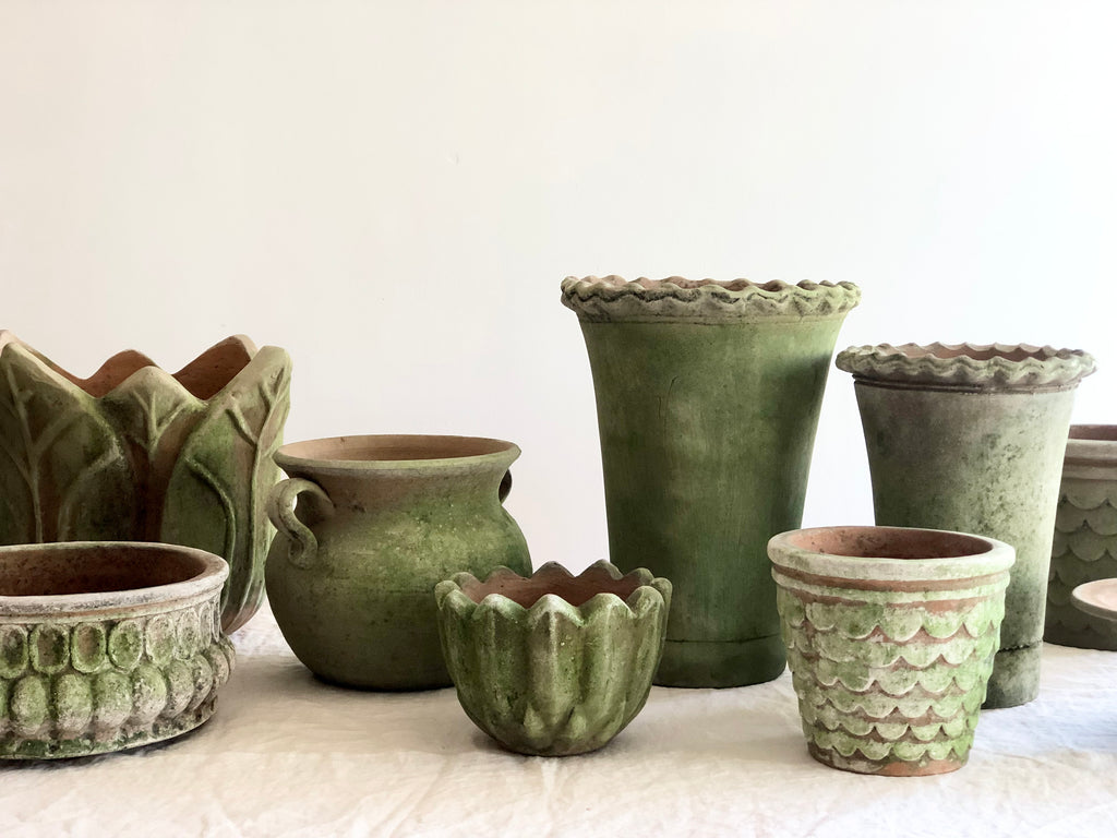 moss covered terra cotta pot for plants with other styles