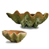 clam shell terra cotta planter with moss two sizes shown