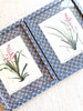 blue and white interlocking ring print paper wrapped frame and mat with pink floral botanical print 12" by 15" in group of two