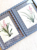 blue and white interlocking ring print paper wrapped frame and mat with pink botanical print 12" by 15" in group of two