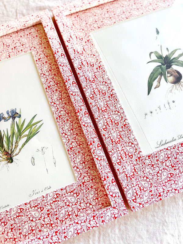 red and white chintz print paper wrapped frame and mat with blue botanical print 12" by 15" in group of two