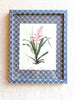 blue and white interlocking ring print paper wrapped frame and mat with pink botanical print 12" by 15"