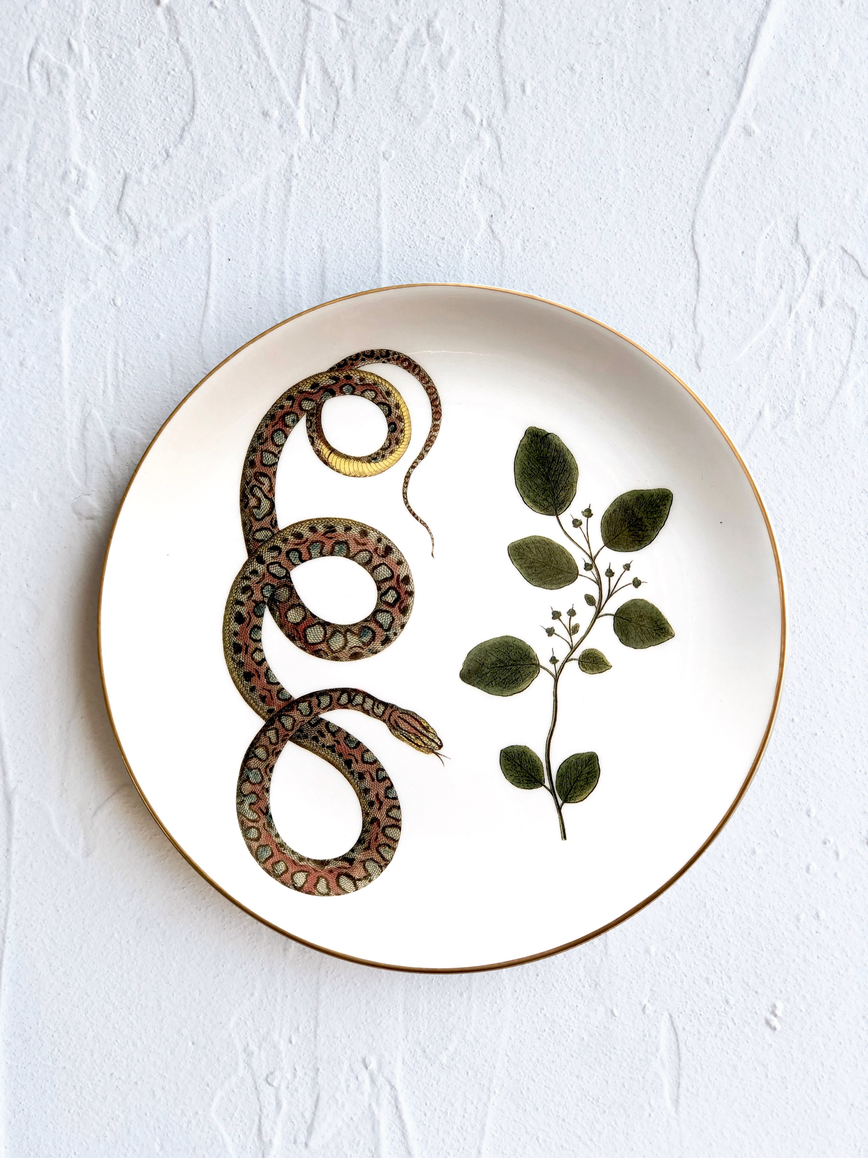 gold rimmed white dinner plate with serpent and leaf 9.5" diameter